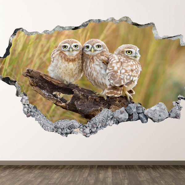 Owl Family Wall Decal - Tree Bird Animal 3D Smashed Wall Art Sticker Kids Room Decor Vinyl Home Poster Custom Gift KD989