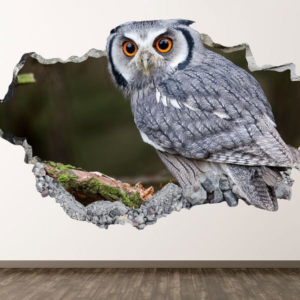 Owl Wall Decal - Bird Animal 3D Smashed Wall Art Sticker Kids Room Decor Vinyl Home Poster Custom Gift KD592