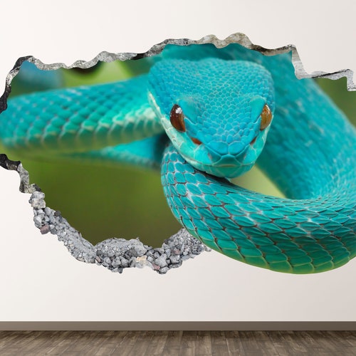 Removeable Wall Decal Snake Ball Python Cold Blooded Prints Sticker 014WTF Removeable Wall Decal Snake Ball Python Cold Blooded Prints Sticker 014WTF