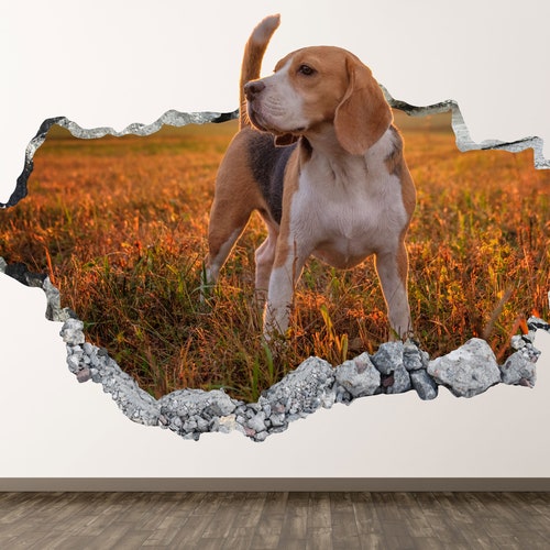 Red Panda Wall Decal Animal 3D Smashed Wall Art Sticker Kids Etsy