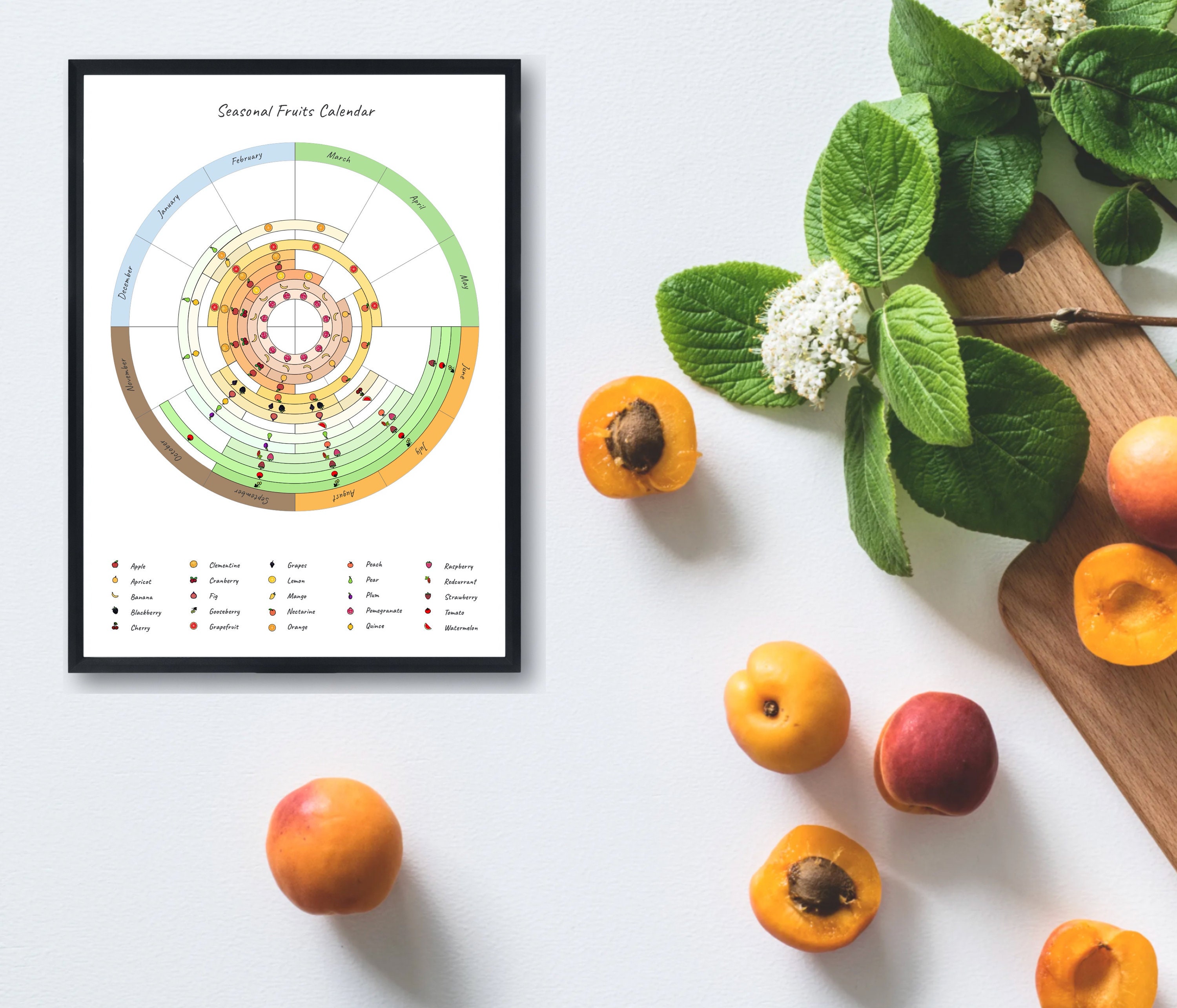 Seasonal Fruit Calendar Poster / Seasonal Food guide Etsy