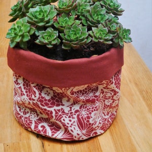 Peut inclure: Une plante succulente aux feuilles vertes dans un pot en tissu à motifs rouge et blanc.