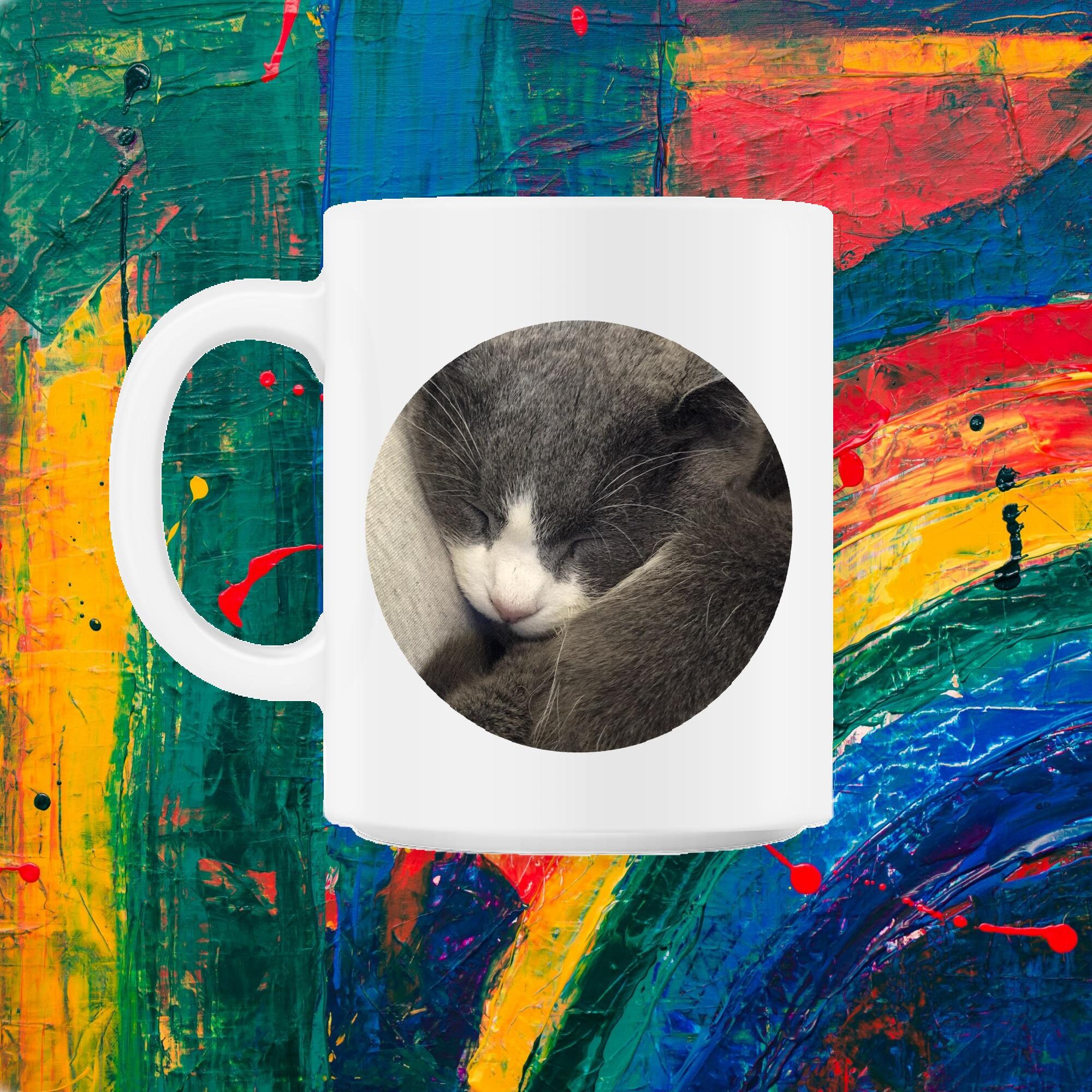 Chat Endormi/Photos de Ma Vie 11Oz Mug