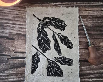 Gravura original em linóleo, feita à mão, com bolotas e folhas de carvalho, sobre papel Lokta nepalês.