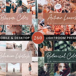 260 Lightroom Preset BUNDLE, Mobile & Desktop Presets, Travel Summer Photo Editing Filter for Instagram, Natural Spring Influencer Blogger image 4