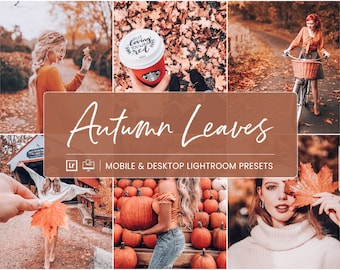 10 Autumn Mobile Lightroom Presets, Desktop Fall Lightroom Presets, Autum Bride Lightroom Presets for Bloggers, Lr Presets DNG