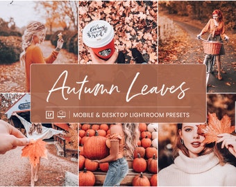 10 Autumn Mobile Lightroom Presets, Desktop Fall Lightroom Presets, Autum Bride Lightroom Presets for Bloggers, Lr Presets DNG