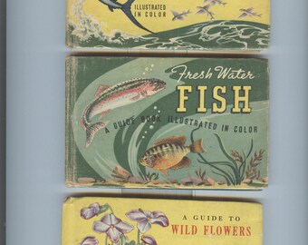Salt Water Fish A Guide Book by Joe Godfrey Jr., Fresh Water Fish by Joe Godfrey, Jr., A Guide to Wildflowers Woodland Flowers by TH Everett
