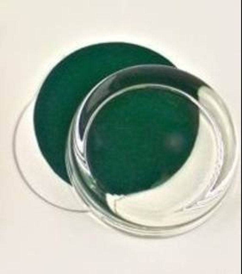 Round Glass Paperweight Blank Etsy