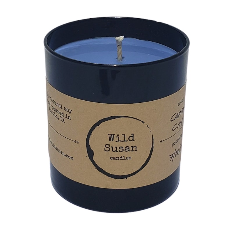 White Birch + Cactus Blossom Soy Candle Wax Melt Capital City