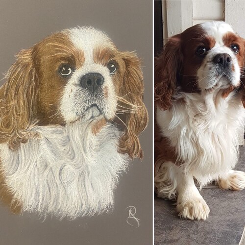 Pet Drawing, Memorial Gift Idea, Pet Loss, Custom Made, shops Personal Gift