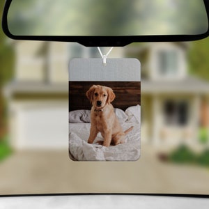 Custom Air Freshener