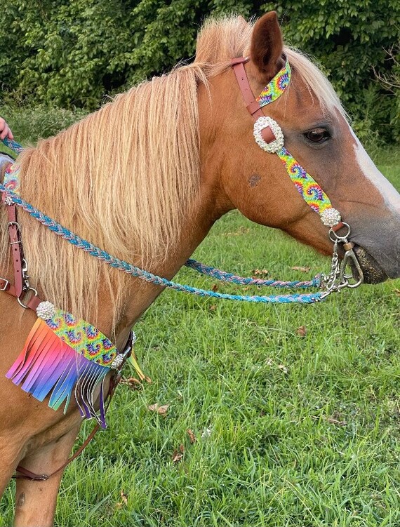 Tie Dye Tack Set W/ Rainbow Fringe Pony or Horse size Etsy