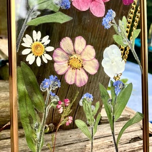 Real pressed dried flower botanical glass Hanging gold wall frame, rustic cottage wall decor, farmhouse decor, herbarium wall art, Rare find