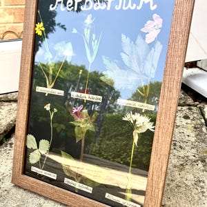 Dried English wildflower Flower Herbarium-  pressed wild and  botanical art in an A4 wooden frame, rustic cottage wall,  rare Gift for home