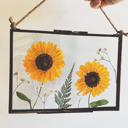 Glass Pressed Round Circle Flower Frame Gypsophila Babys Etsy