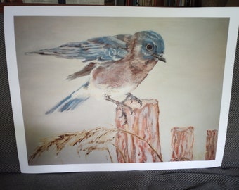 Bluebird Large 16" X 20" PRINT by Jodi Larson