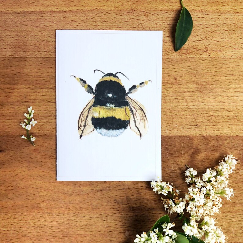 Bee cards bee note cards honeybee note cards cards with Etsy