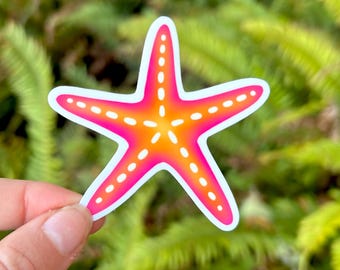 Sticker koraal zeester