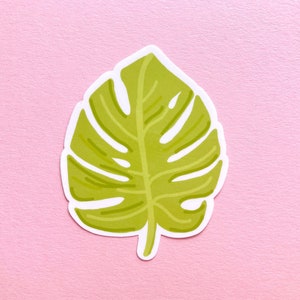 May include: A green tropical leaf with a white outline, on a pink background.