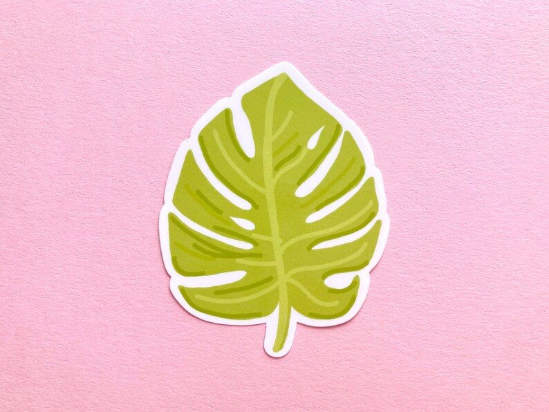 May include: A green tropical leaf with a white outline, on a pink background.