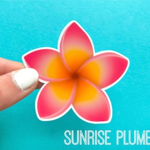 Plumeria Flower Stickers Sunrise Plumeria
