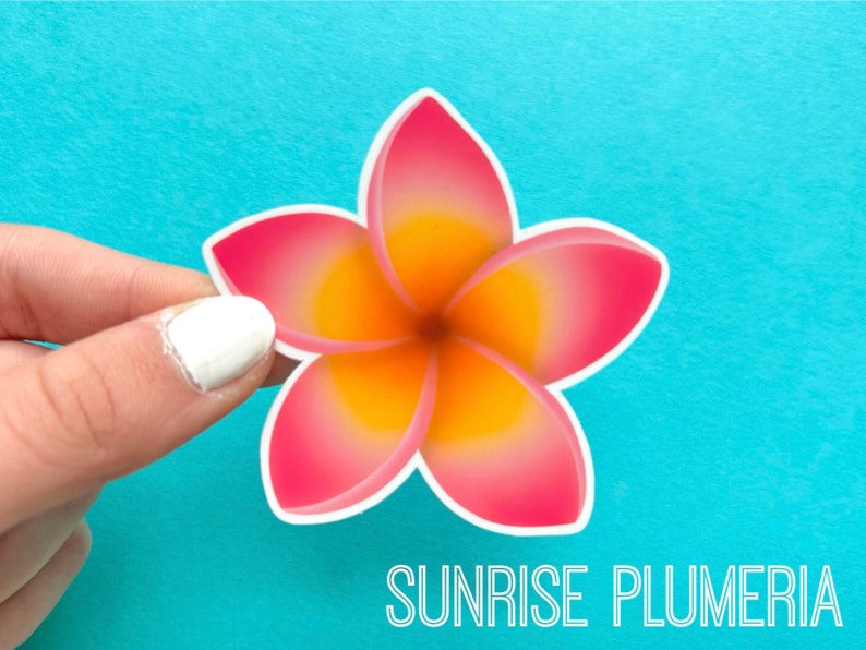 Plumeria Flower Stickers Sunrise Plumeria