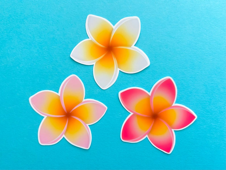 Plumeria Flower Stickers image 1