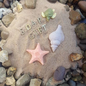 May include: A golden glitter "SOAP GIFT" sign on a bed of sand surrounded by small stones. A pink starfish, a white seashell, and a green turtle figurine are arranged around the sign.