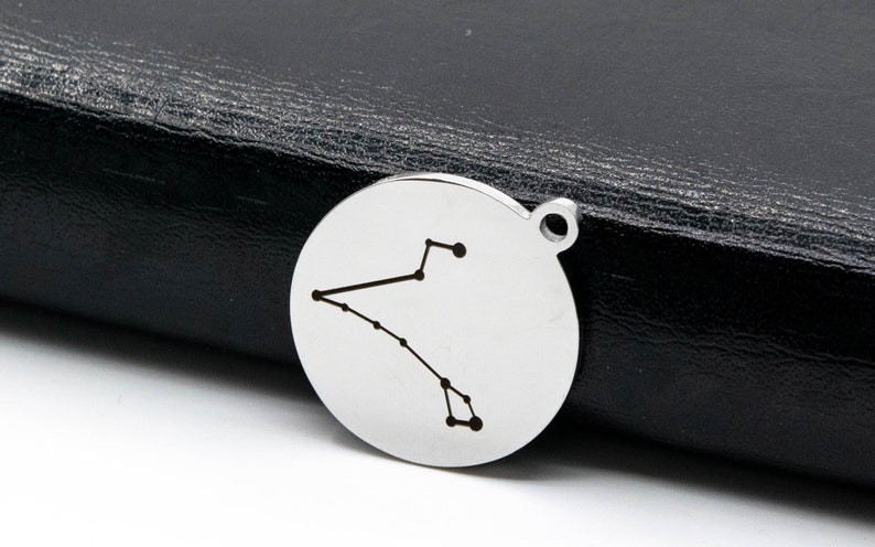 41018-2169 Zodiac Sign Pisces coin Charm 1 pcs Stainless Steel Astrological 12 Horoscope