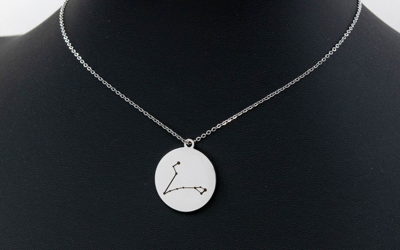 41018-2169 Zodiac Sign Pisces coin Charm 1 pcs Stainless Steel Astrological 12 Horoscope