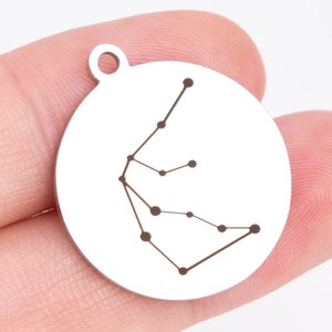 1 pcs Stainless Steel Astrological 12 Horoscope, Zodiac Sign Aquarius coin Charm(41017-2169)