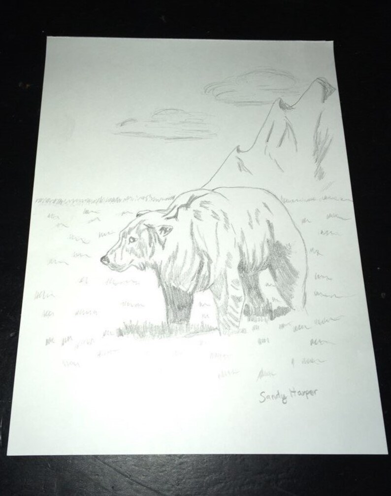 Bear