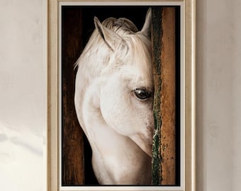 Dappled Grey Horse Portrait Print | Rustic Equine Art