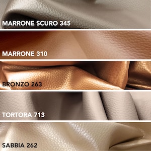 May include: Close-up of five swatches of textured leather in various colors. The colors include dark brown, medium brown, bronze, light gray, and beige. Each swatch has a corresponding name and number printed on it.