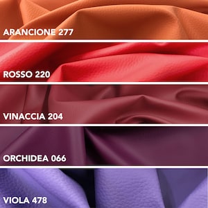 May include: Close-up of five swatches of leather in various colors: orange, red, burgundy, purple, and violet. Each swatch has a color name and number printed on it. The leather has a textured surface.