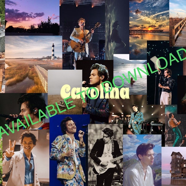 CAROLINA Harry Styles (Collage)