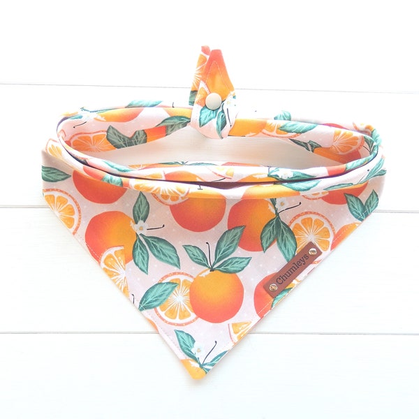 Citus Fruit Dog Bandana Orange Dog Bandana Summer Dog Bandana Tie & Snap Bandana Puppy Bandana