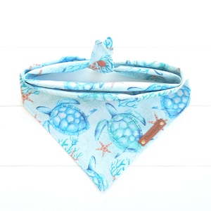 May include: A light blue bandana with a watercolor print of sea turtles and starfish. The bandana has a brown leather tag with the text "Chumleys" on it.