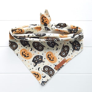 Halloween Dog Bandana: Black Cat & Pumpkin Tie-Snap Bandana