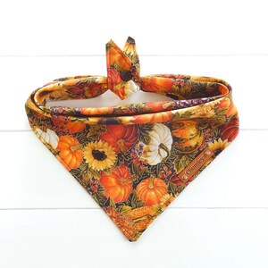 Fall Floral Dog Bandana: Harvest Pumpkin, Tie & Snap