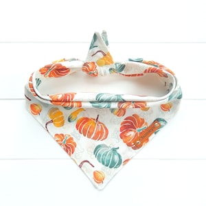 Fall Dog  Bandana Gourd Dog Bandana Harvest Gourds Dog Bandana Tie & Snap Bandana Autumn Dog Bandana Puppy Bandana
