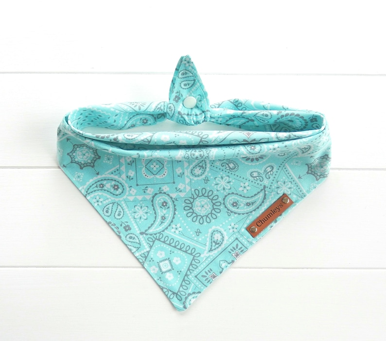 May include: A turquoise bandana with a paisley pattern and a brown leather tag that says "Chumleys".