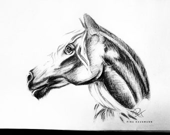 Pferde-Zeichnung Pferd Pferdekopf Bleistift Bild Gemälde A3 48x36cm handgemalt Geschenk