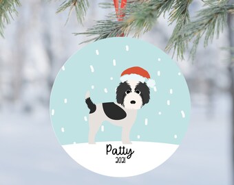 the best algae eater fish