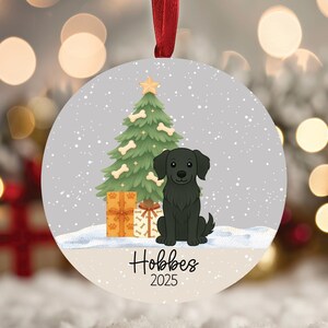 Flat-coated Retriever Dog Personalized Ornament, Custom Pet Name Christmas Gift, Different Breeds Available