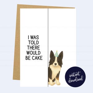 Cartão de aniversário engraçado para Border Collie - Download digital para impressão