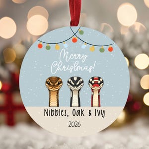 Personalized Snake Ornament, Custom Pet Memorial