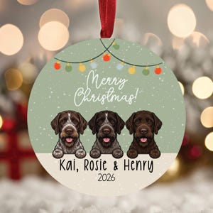May include: A round Christmas ornament featuring a sage green background with a string of colorful holiday lights and white snowflakes. Three brown wirehaired pointing griffon dogs are illustrated at the bottom with the text Merry Christmas, Kai, Rosie & Henry, and 2026.