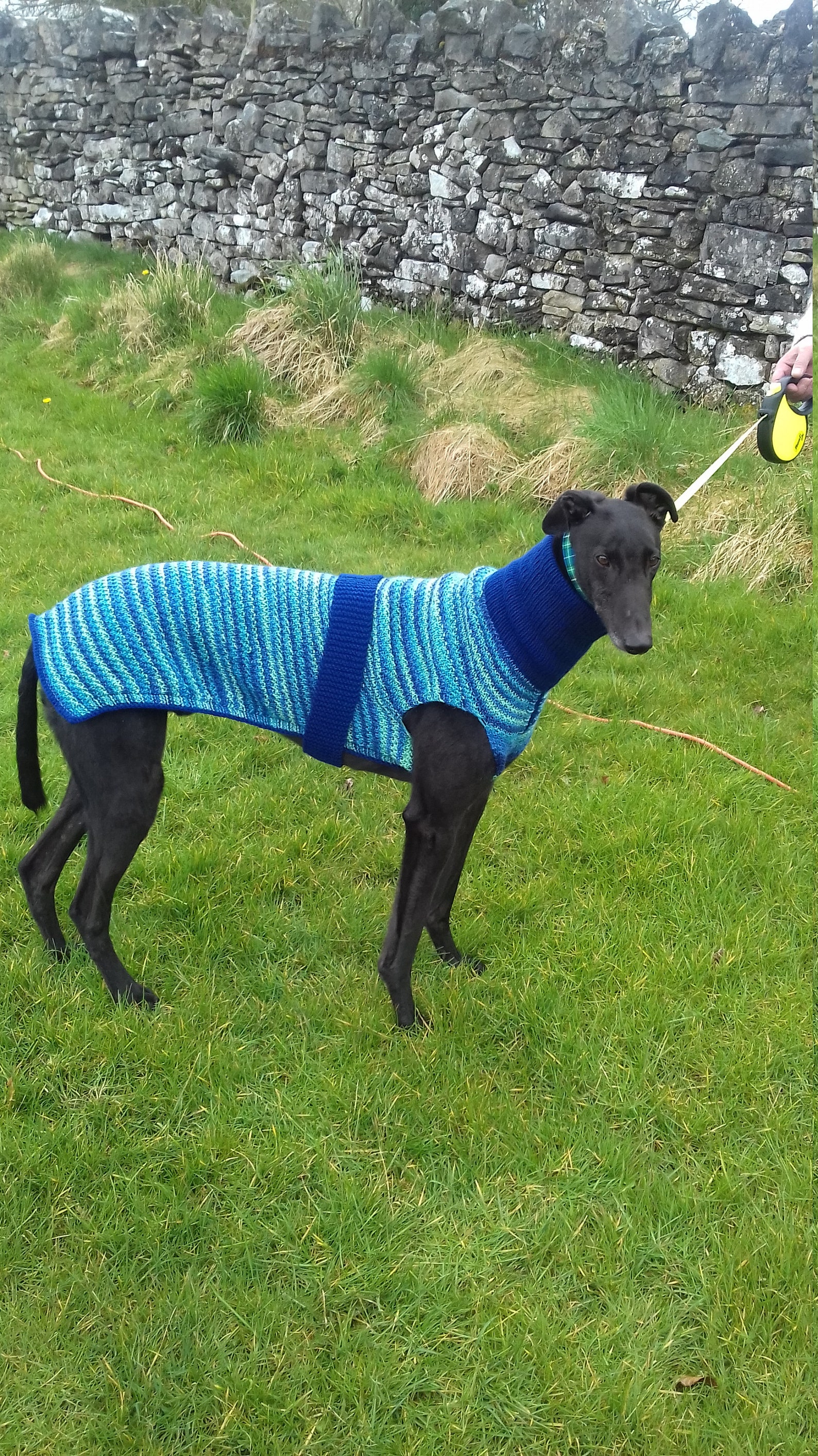 Hand Knitted Dog Jumper 26/66cms Etsy